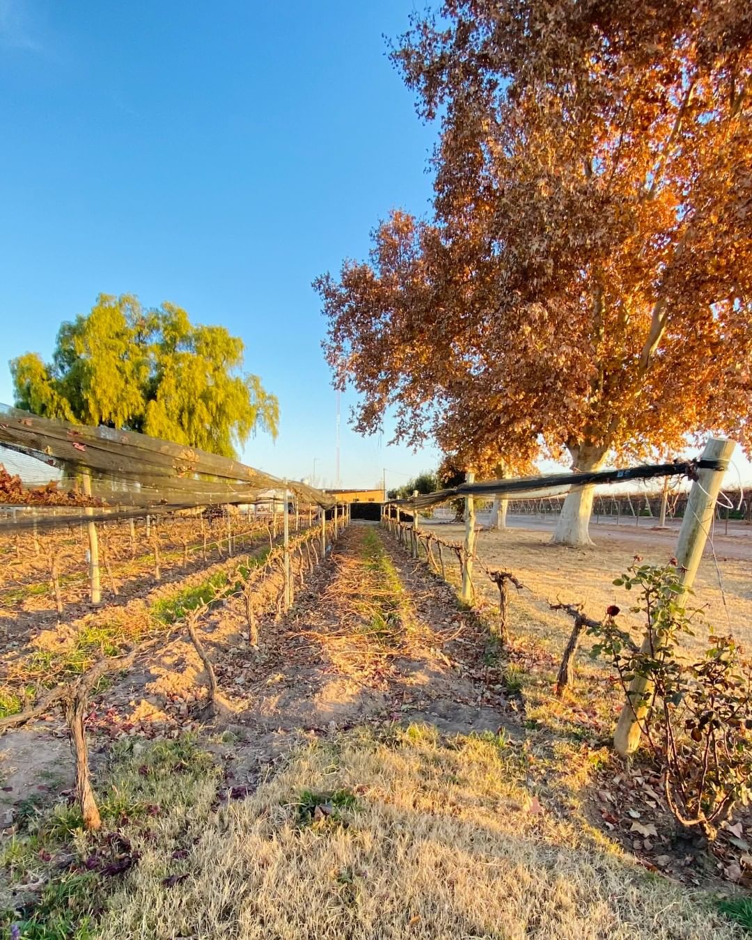 bodegaeugenioferreyra_20220704_p_2874985540966332629_1_2874985540966332629
